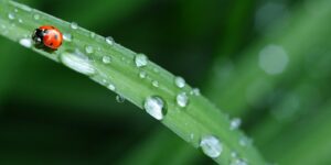 konkurs retencja wód