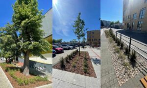 odbetonowany plac przy Centrum Kultury w Grodzisku azowieckim